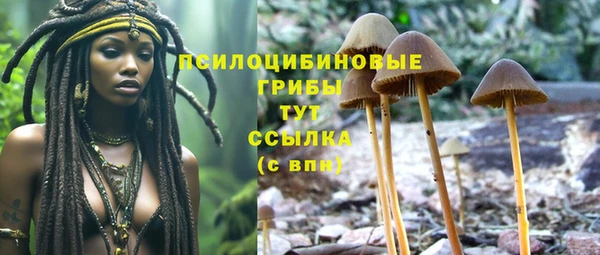 мескалин Алексин
