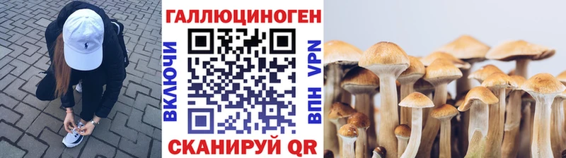 Псилоцибиновые грибы мицелий  OMG tor  Тара 